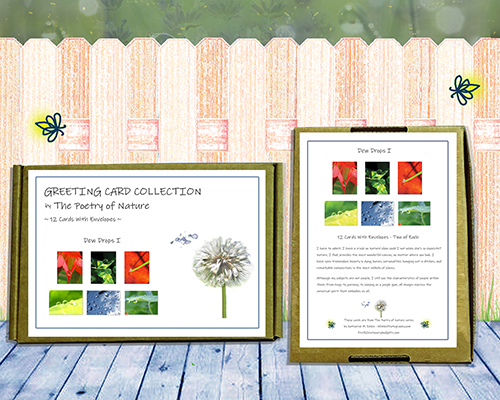 Dew Drops I Greeting Card Collection by The Poetry of Nature. Peaceful, beautiful water drop note cards, cards with poems, set of 12